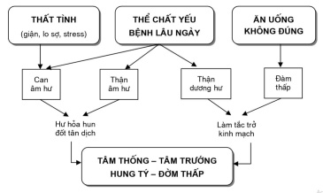 Nguyên nhân gây bệnh Thiếu máu cơ tim theo YHCT